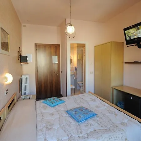 Elena Otel *